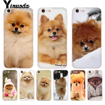 Yinuoda Pomerániai kutya Színes, Aranyos Telefon tok iphone 13 8 7 6 6 Plusz X 10 5 5S SE XR XS XSMAX11 11pro 11promax